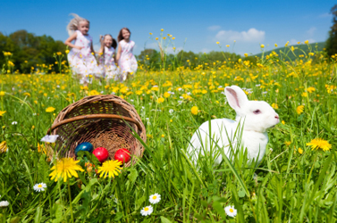 Easter Party Planning, Easter Party Ideas