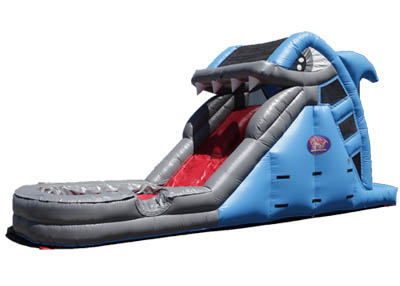 Shark Water Slide Rental