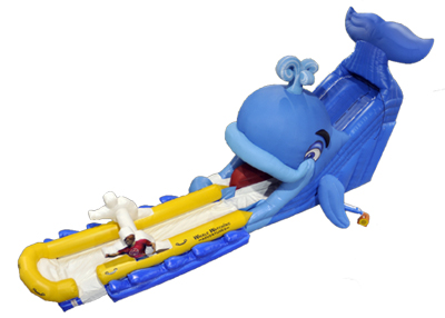 Wally Whale Waterslide