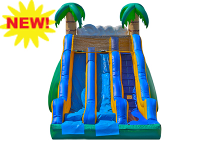 dual lane dry slide rental