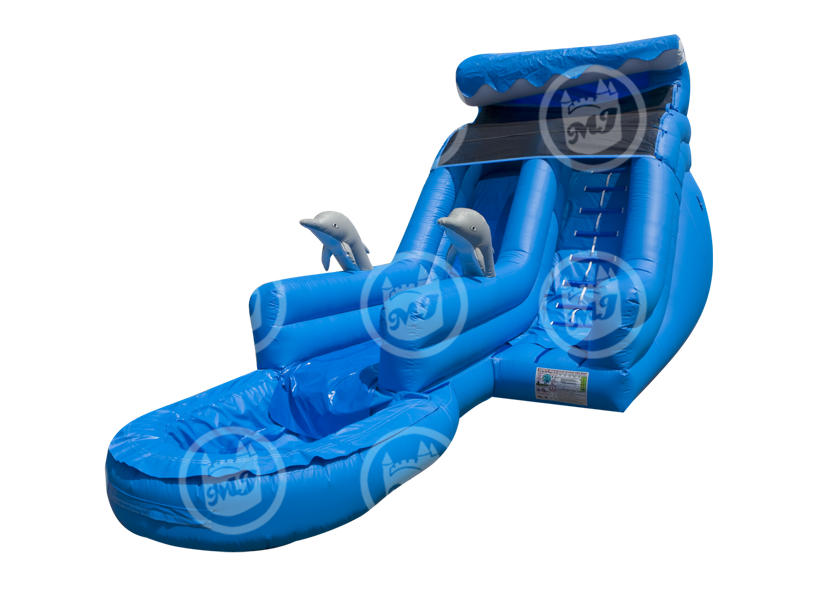 Dolphin Jr Wave