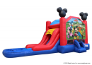 mickey mouse water slide