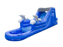 adolphin water slide, inflatable water slide